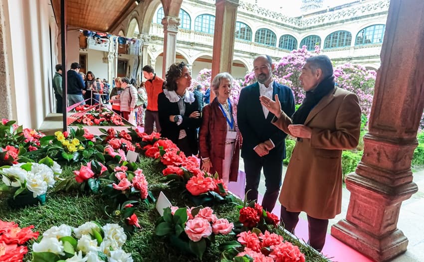 Máis de 200 variedades de camelias protagonizan unha mostra única en Santiago