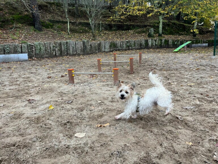 Ames comeza o acondicionamento dos parques caninos do Milladoiro e Bertamiráns