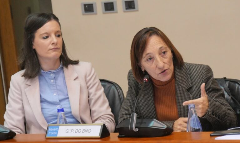 O BNG esíxelle a Rueda que “colla o volante” e non deixe só ao pobo galego fronte a crise ambiental máis grave en vinte anos