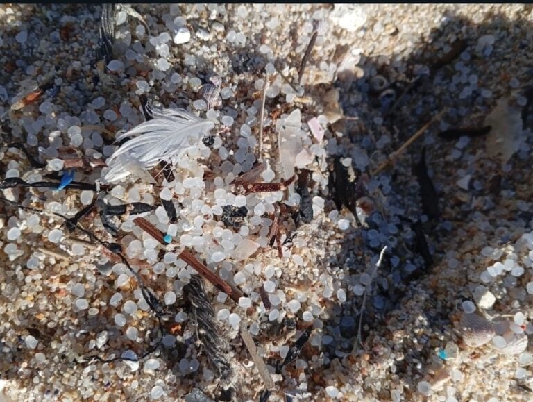 Ecologistas reclaman «más coordinación y transparencia» sobre el impacto de los pellets