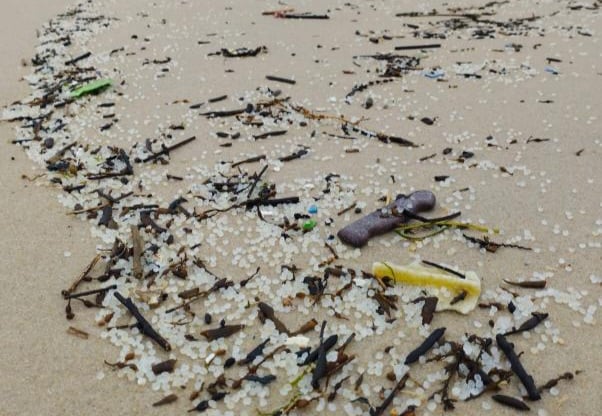 Fiscalía ve «indicios de toxicidad» en el vertido de pellets en Galicia