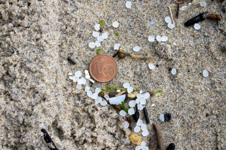 WWF recorre la costa gallega analizando el impacto del vertido de pellets plásticos