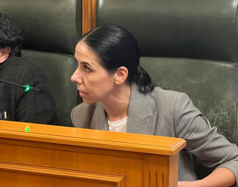 O PP propón a creación dunha App para que o comercio compostelán poida vender online