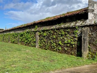 O PP reclama melloras no cemiterio municipal de Boisaca