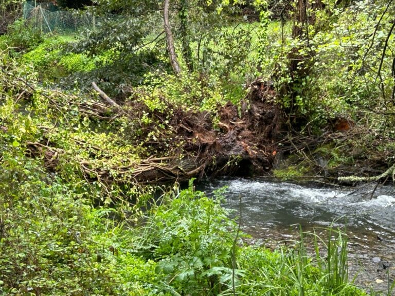 O PP alerta da situación do ríos composteláns que podería incedir nas inundacións en vivendas