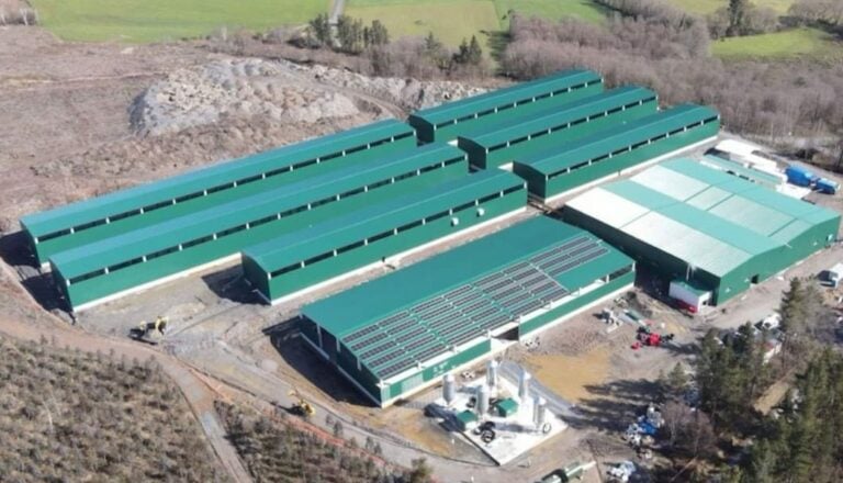 Bioflytech inicia en Palas de Rei a producción de fariñas a partir de insectos
