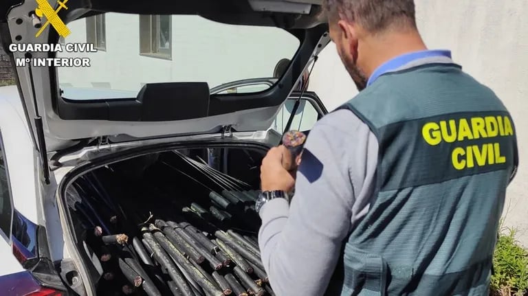 Diez detenidos por robos de cable telefónico en el área de Santiago