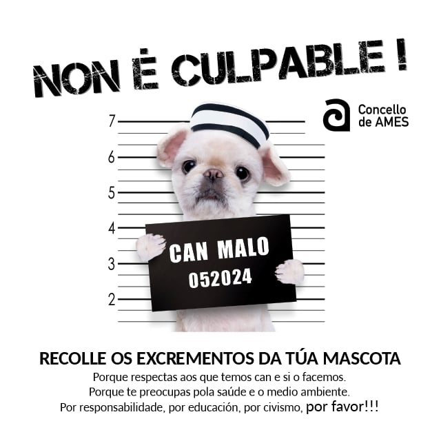 Campaña de recollida de excrementos en Ames con sancións de entre 500 e 10.000 euros