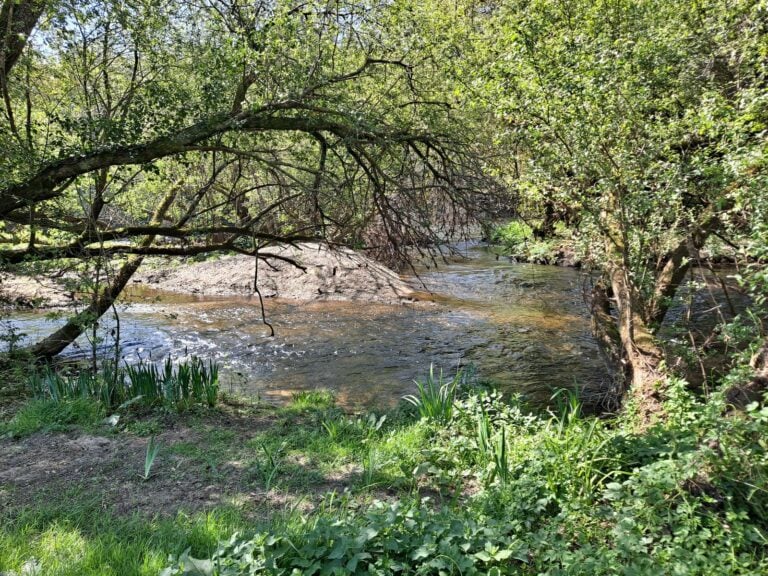 Un pescador halla el cuerpo sin vida de un hombre en el río Ulla en A Estrada