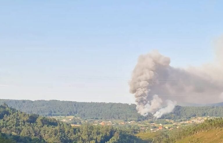 Extinguido el incendio forestal en Carcacía tras arrasar 6,8 hectáreas