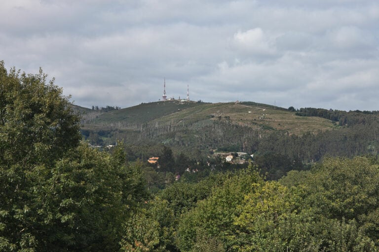 A falta de limpeza da maleza pon en serio perigo de incendio o monte Pedroso
