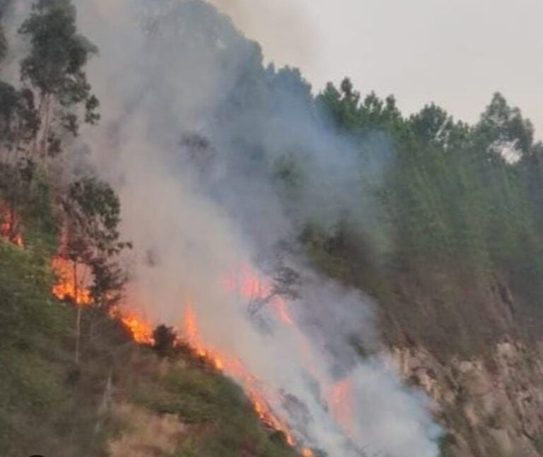 Extinguido el incendio forestal próximo a la AP-9 en Padrón