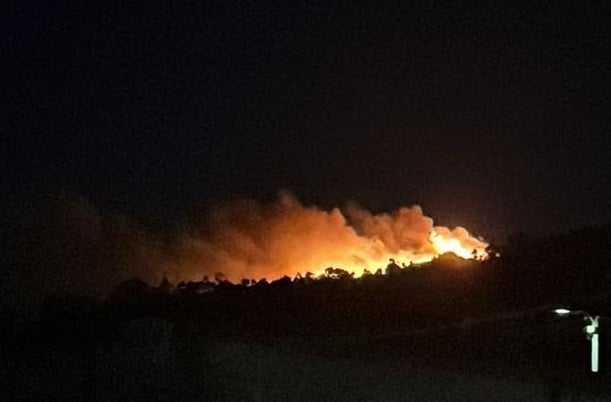 El COAG activa un fondo de emergencia tras los históricos incendios y reclama un «nuevo modelo territorial»
