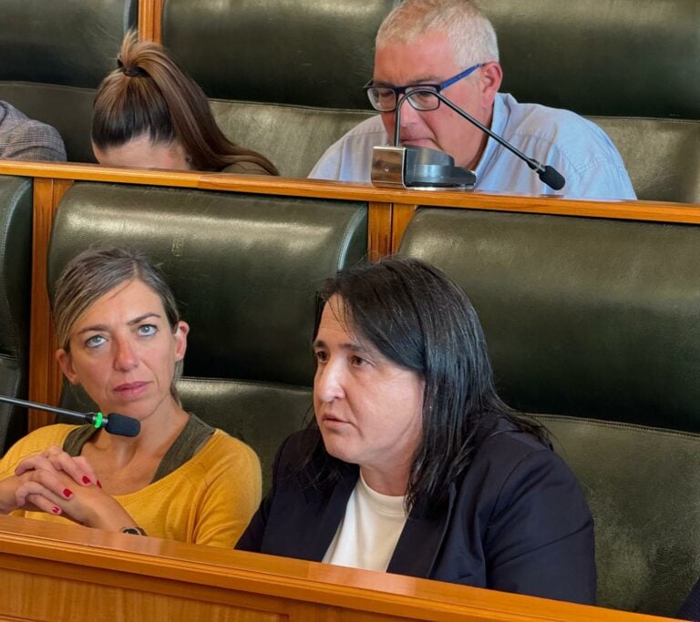 O PP de Santiago propón un programa municipal de atención domiciliaria e acompañamento á infancia