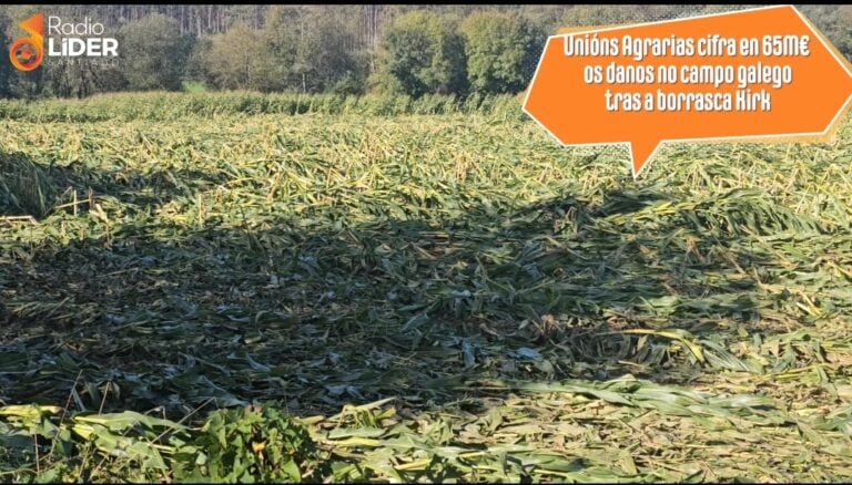 Unións Agrarias cifra en 65,5M€ os danos no agro galego polo paso da borrasca Kirk