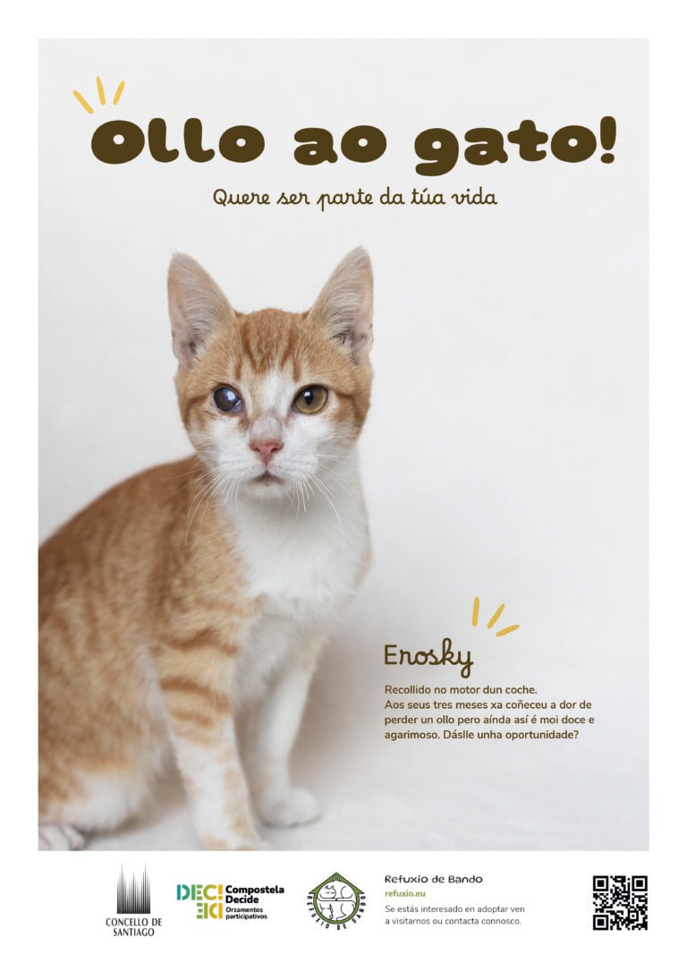 Santiago anima á adopción de animais da man dos Orzamentos Participativos