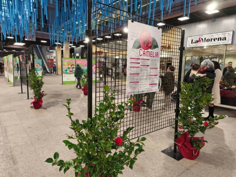 La artesanía de la camelia, protagonista este sábado en el Outlet Área Central