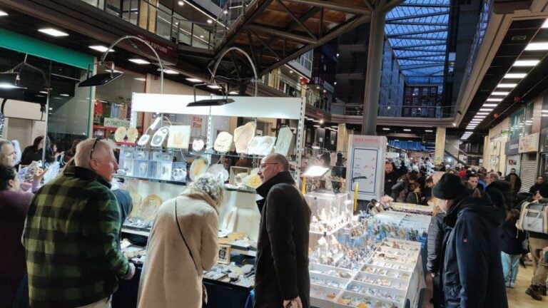 Área Central acoge la XI Feria de Minerales de Santiago del 6 al 9 de marzo