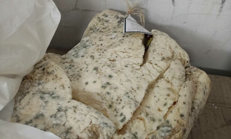 Localizado en la zona de Santiago un almacén clandestino de productos cárnicos