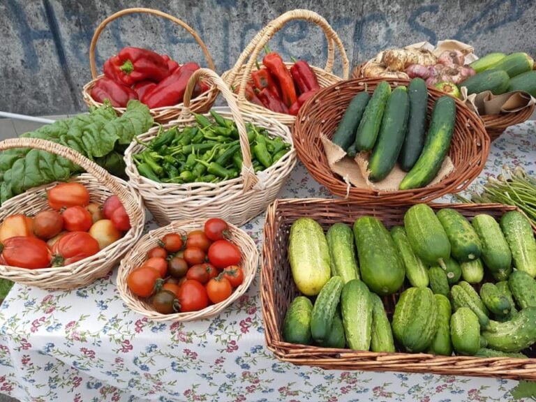 Terras de Santiago promove o turismo cunha gastronomía ecolóxica e de quilómetro cero