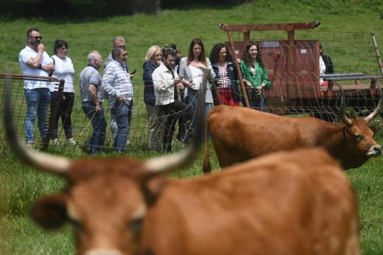 A Conselleira de Medio Rural visita a finca A Ferreira en Val do Dubra