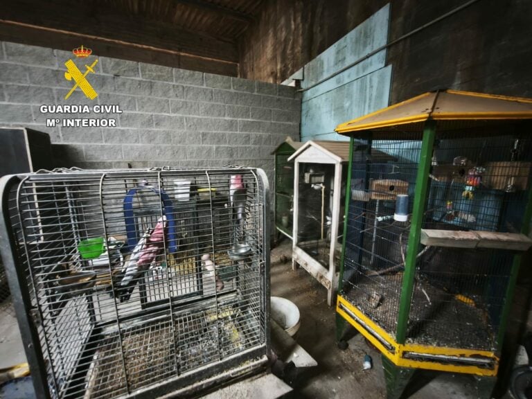 La Guardia Civil halla 250 cadáveres de animales en un criadero clandestino en Ordes