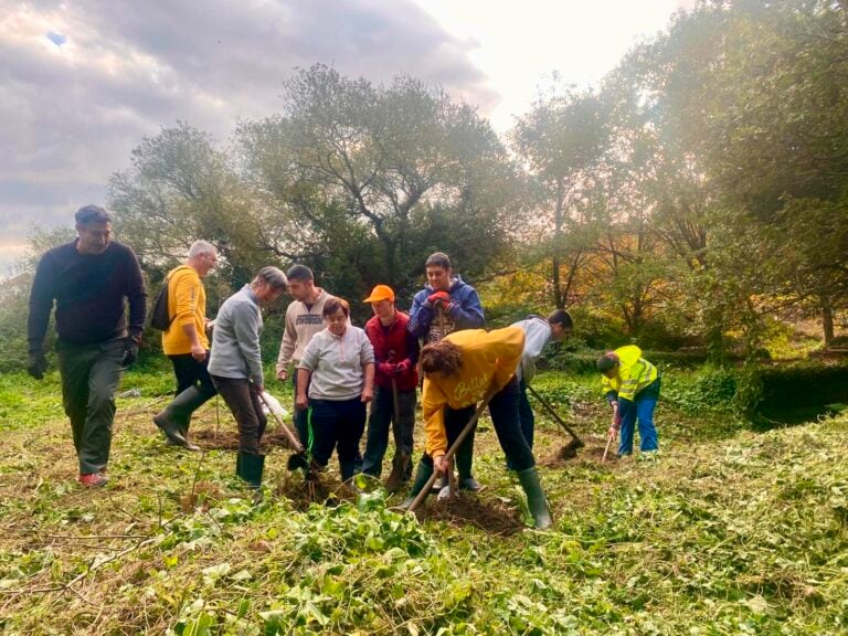 A Asociación Ría de Muros Noia pon en marcha un proxecto para plantar maceiras nas beiras desta ruta xacobea