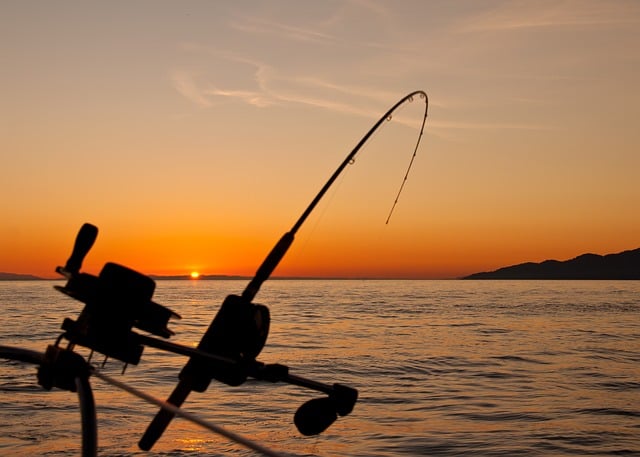 Multas y retirada de licencias: así se controlará la pesca recreativa a partir de 2026