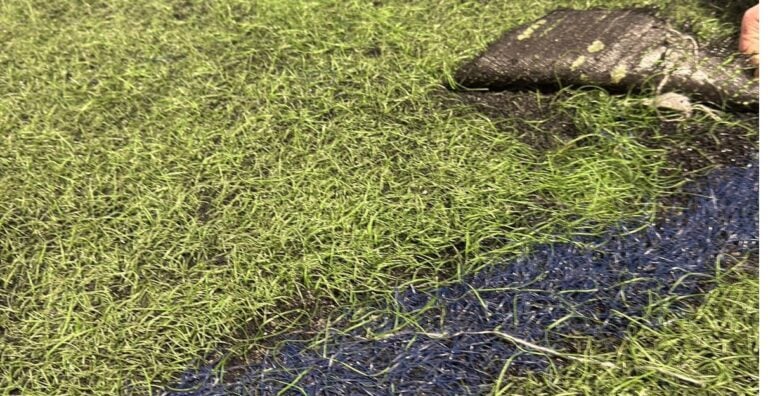 O PSdeG esixe unha actuación urxente no campo de fútbol da Merced en Conxo