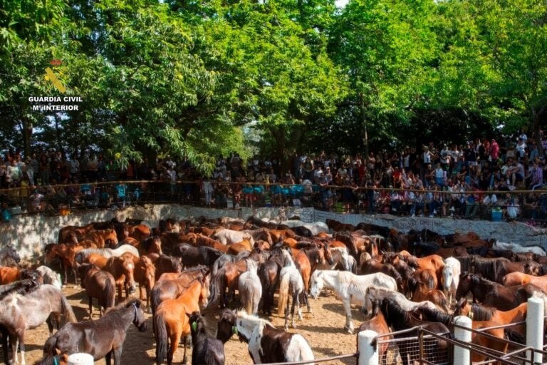 Cinco detendios por hurto de ganado y muerte de animales en la Sierra del Barbanza