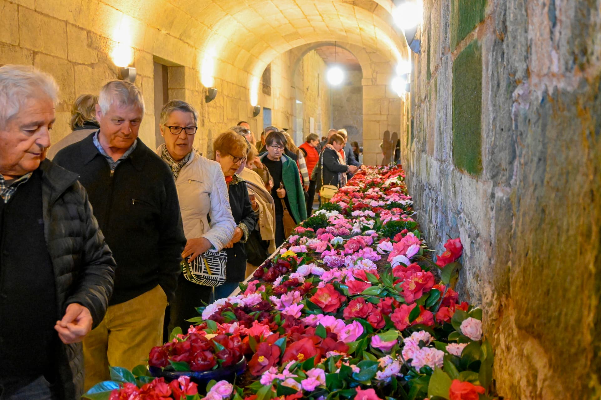 Éxito da Exposición da Camelia e do Bonsái de Padrón con 72 expositores