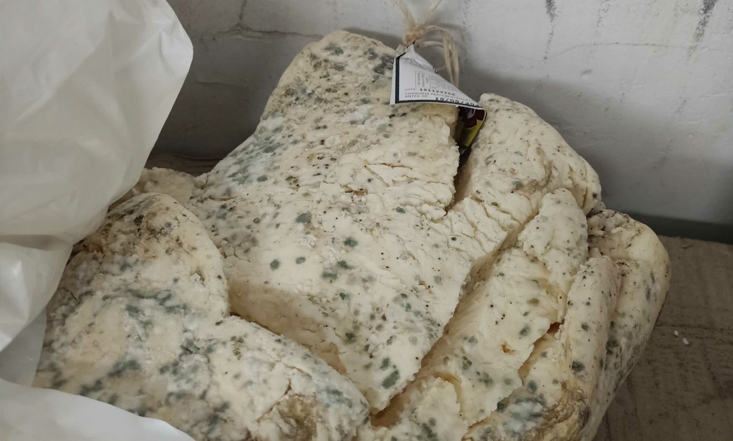 Localizado en la zona de Santiago un almacén clandestino de productos cárnicos