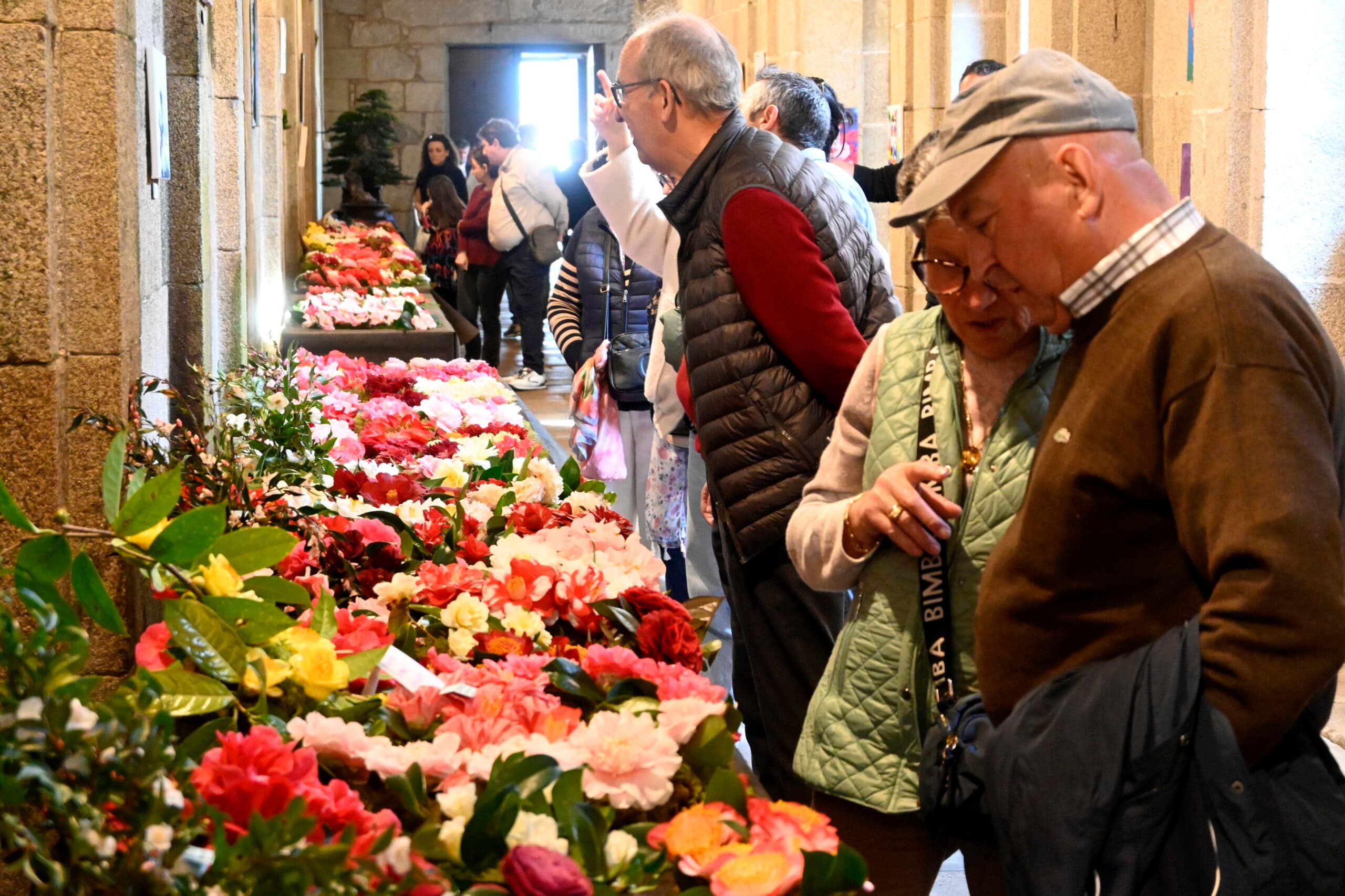 Anxo Arca impulsa a creación dun ‘triángulo da camelia’ con Vedra e Salceda
