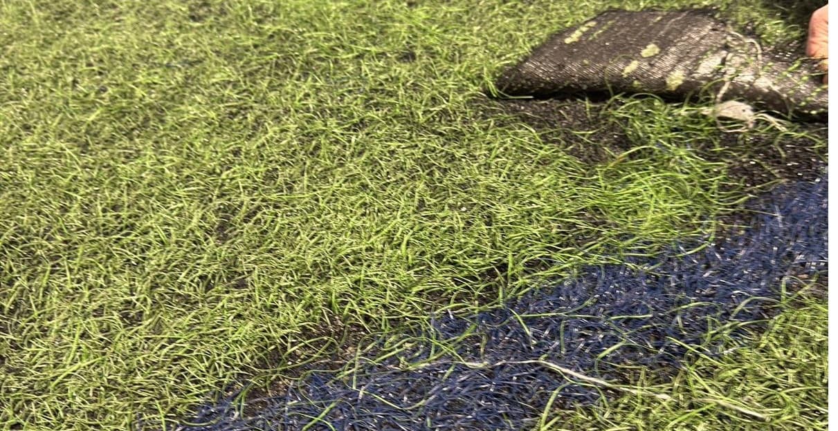 O PSdeG esixe unha actuación urxente no campo de fútbol da Merced en Conxo